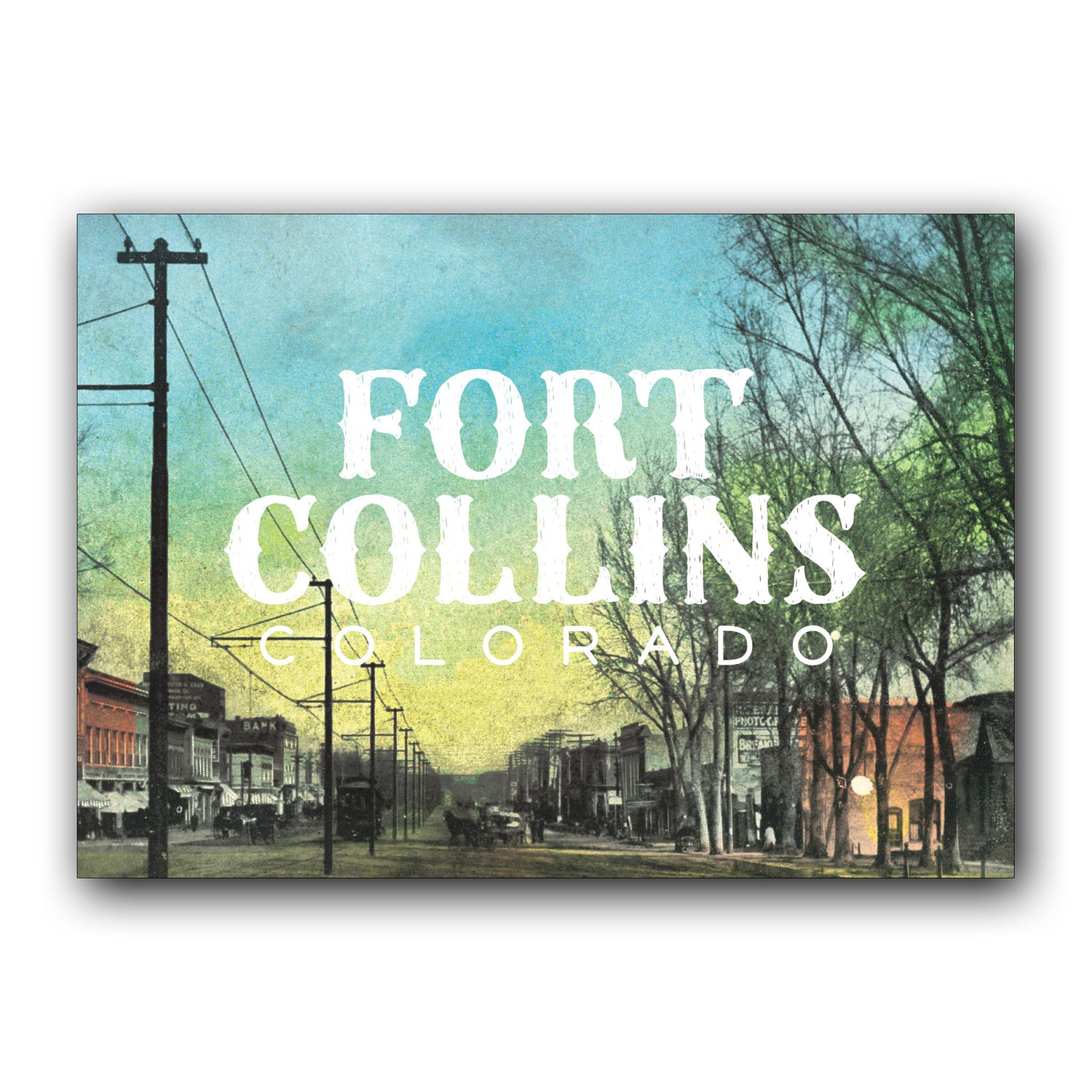 Postcard: FOCO